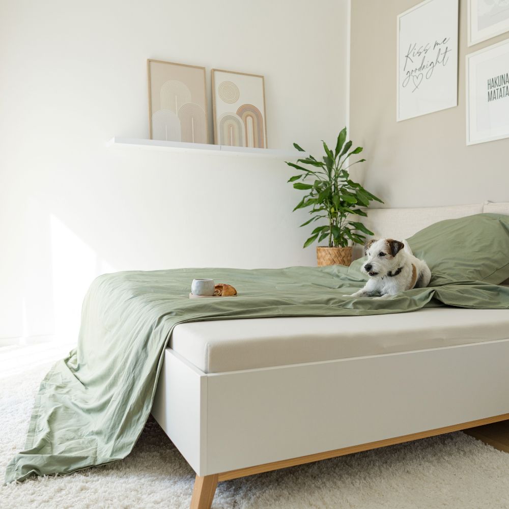 Hotel Set: Bett mit olivgrüner Perkal-Bettwäsche aus Bio-Baumwolle, darauf ein kleiner Hund